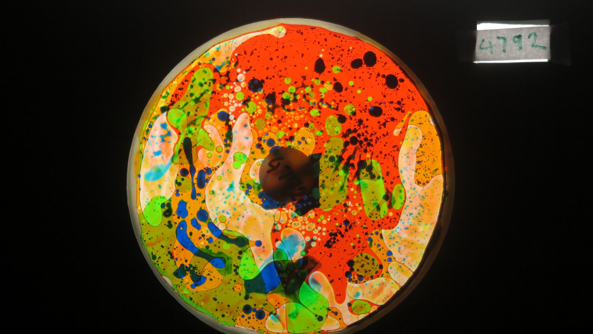 BV4792 bubble vision oil wheel